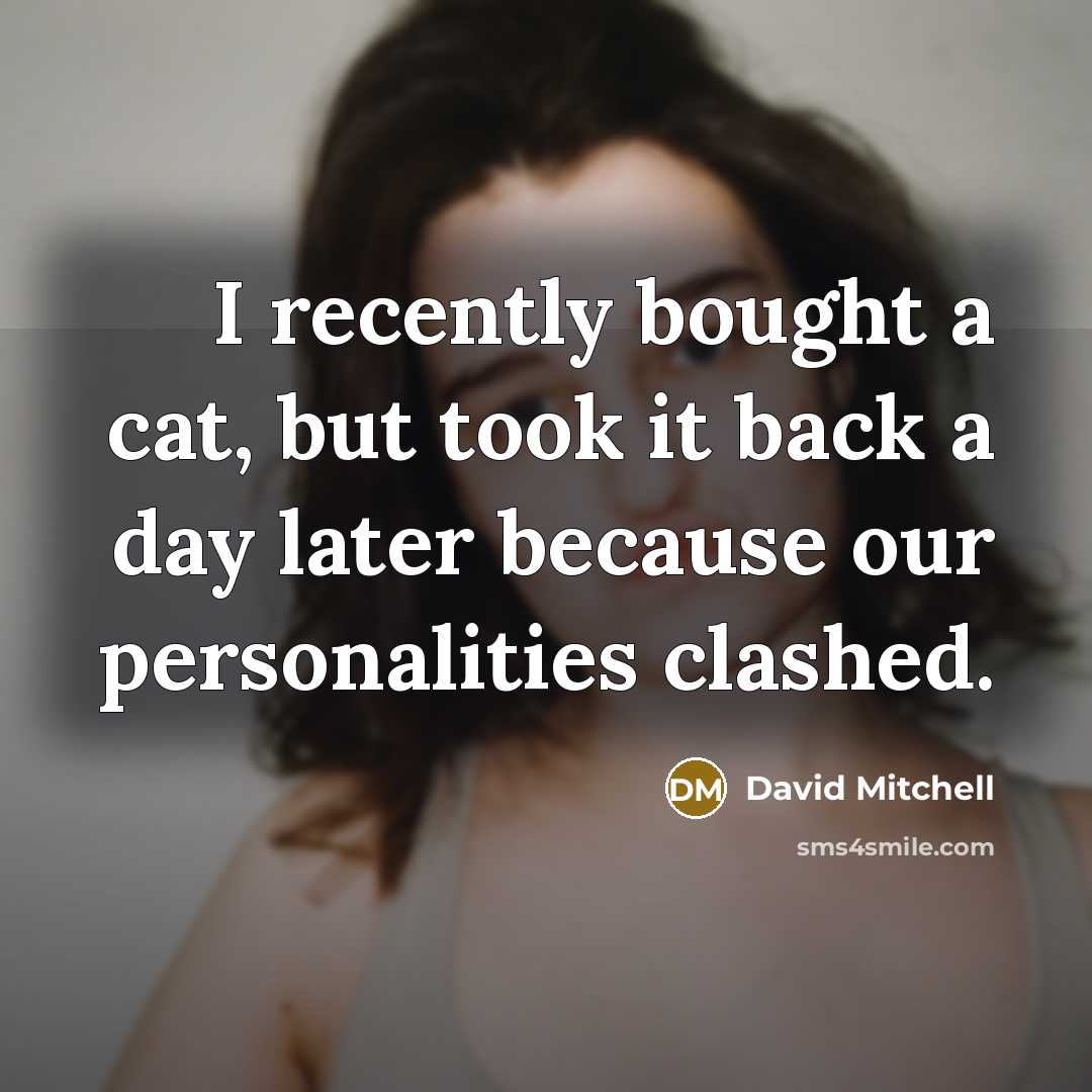 “I recently bought a cat, but took it back a day later because our personalities clashed.” quote by David Mitchell
