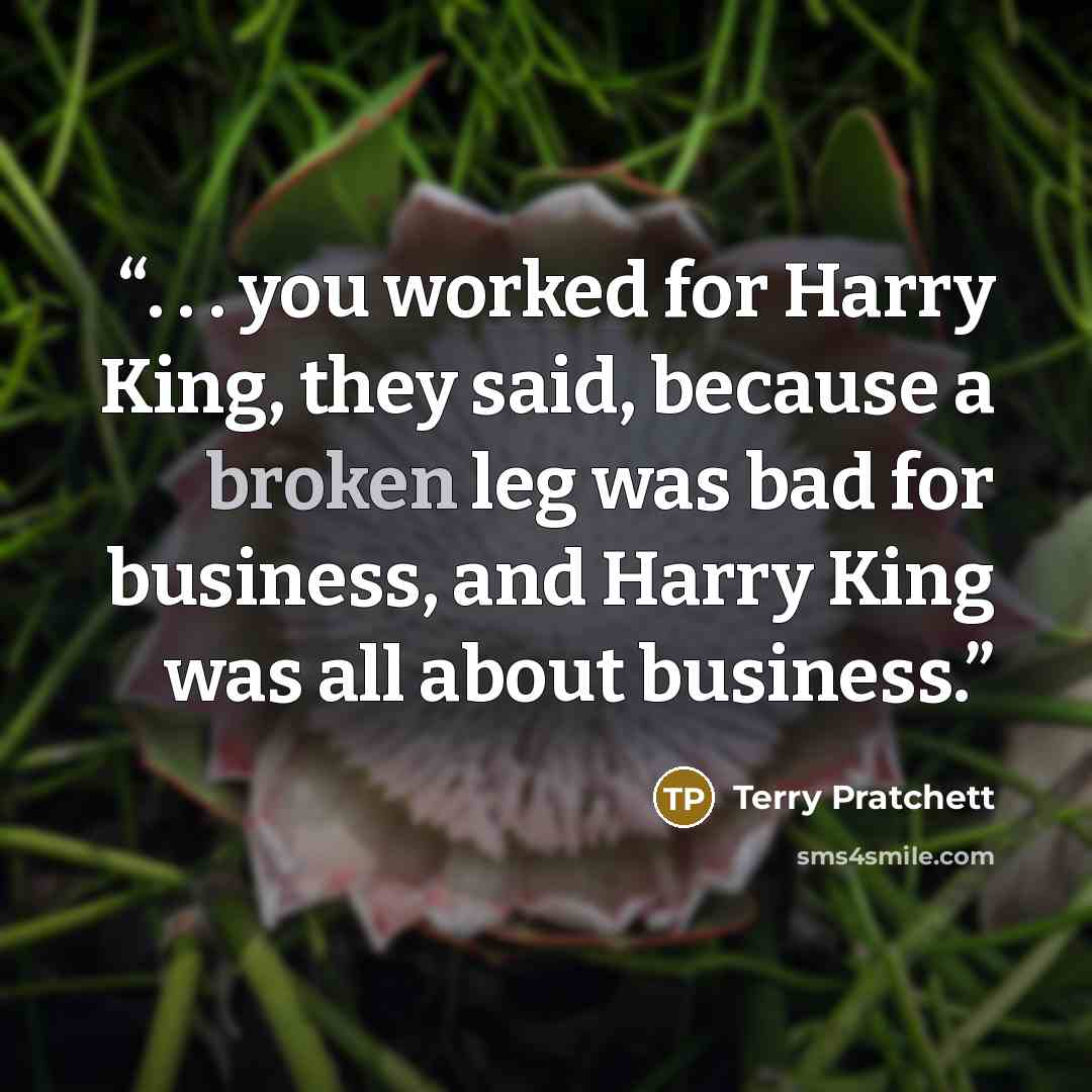 “. . . you worked for Harry King, they said, because a broken leg was bad for business, and Harry King was all about business.” quote by Terry Pratchett