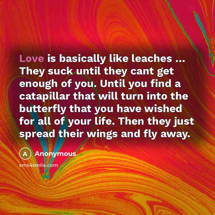 “Love is basically like leaches … They suck until they cant get enough of you. Until you find a catapillar that will turn into the butterfly that you have wished for all of your life. Then they just spread their wings and fly away.” quote by Anonymous