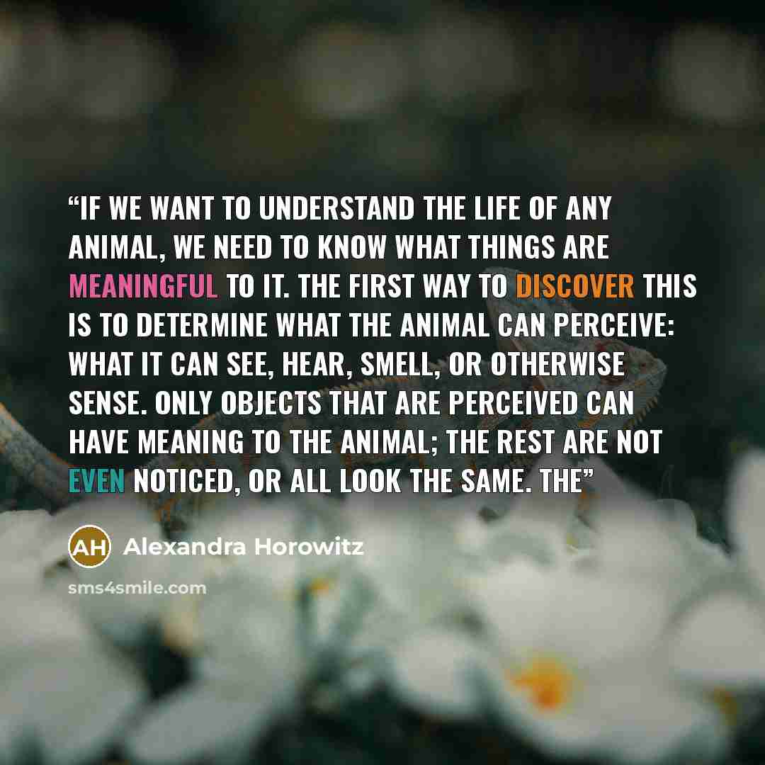 “If we want to understand the life of any animal, we need to know what things are meaningful to it. The first way to discover this is to determine what the animal can perceive: what it can see, hear, smell, or otherwise sense. Only objects that are perceived can have meaning to the animal; the rest…” quote by Alexandra Horowitz