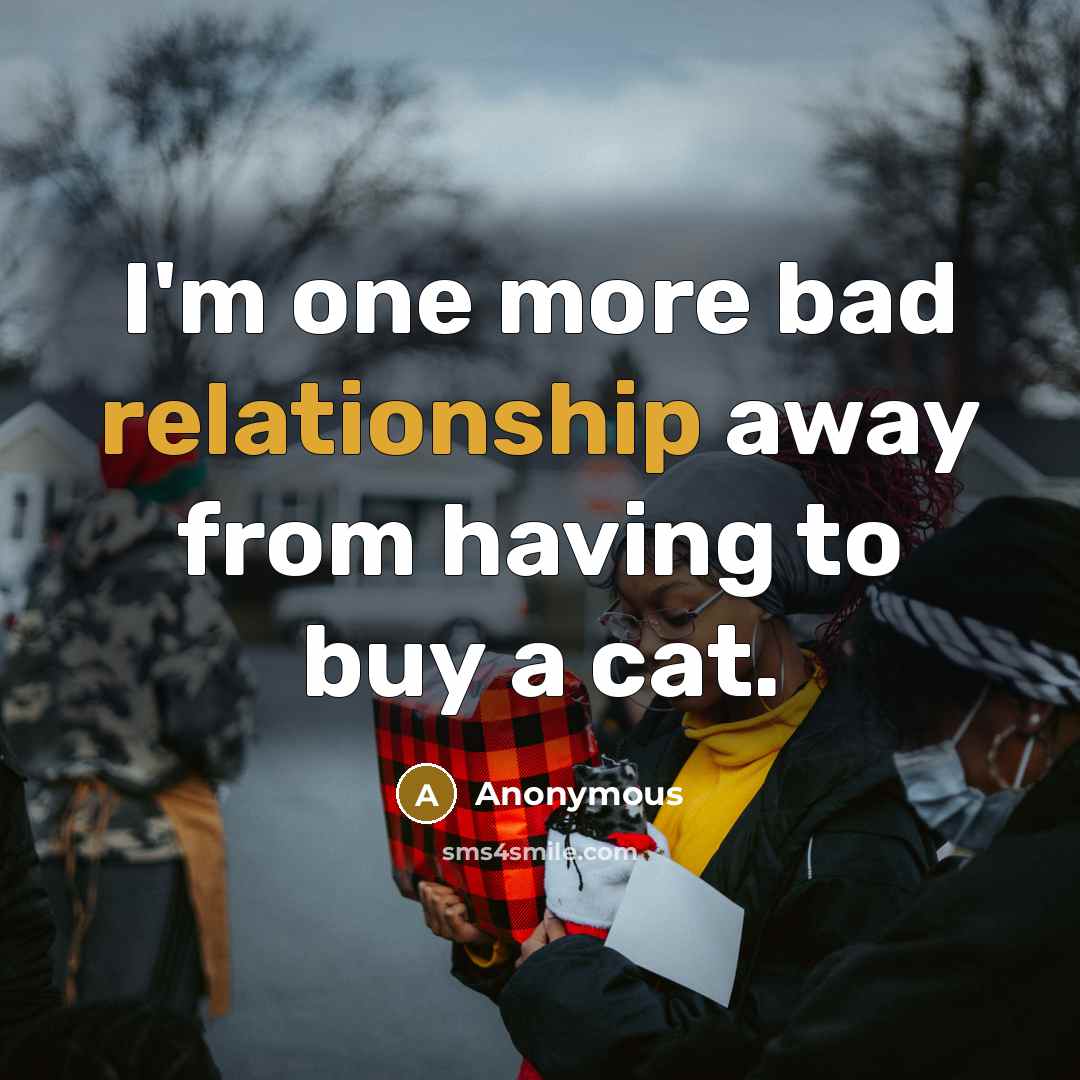 “I'm one more bad relationship away from having to buy a cat.” quote by Anonymous
