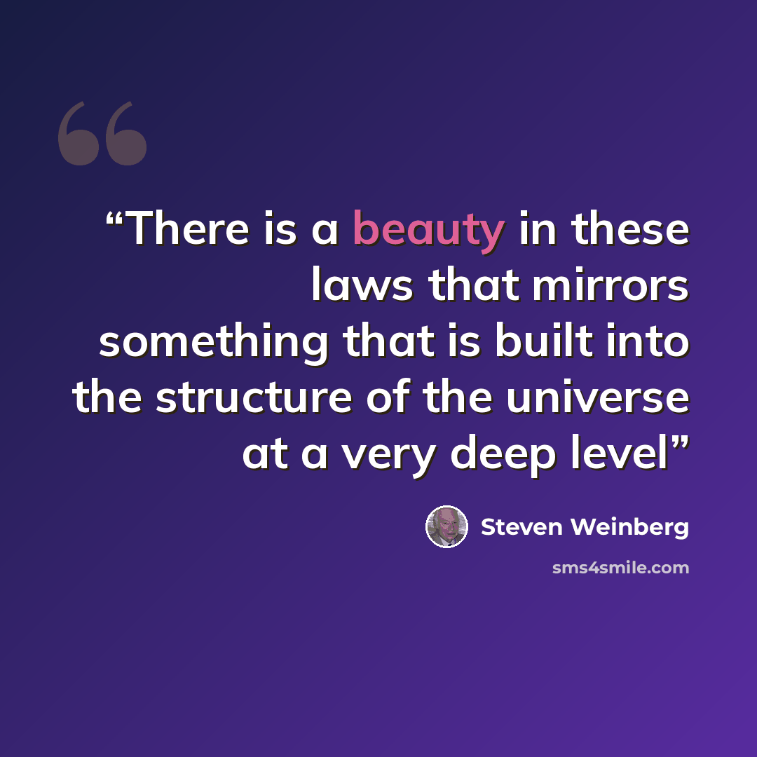 “There is a beauty in these laws that mirrors something that is built into the structure of the universe at a very deep level” quote by Steven Weinberg