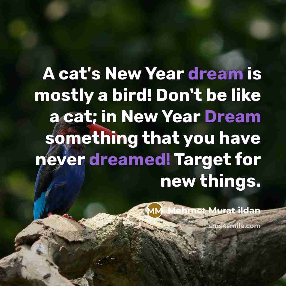 “A cat's New Year dream is mostly a bird! Don't be like a cat; in New Year Dream something that you have never dreamed! Target for new things.” quote by Mehmet Murat Ildan