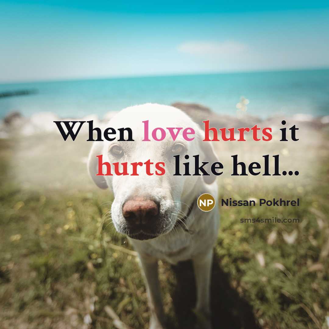 “When love hurts it hurts like hell...” quote by Nissan Pokhrel