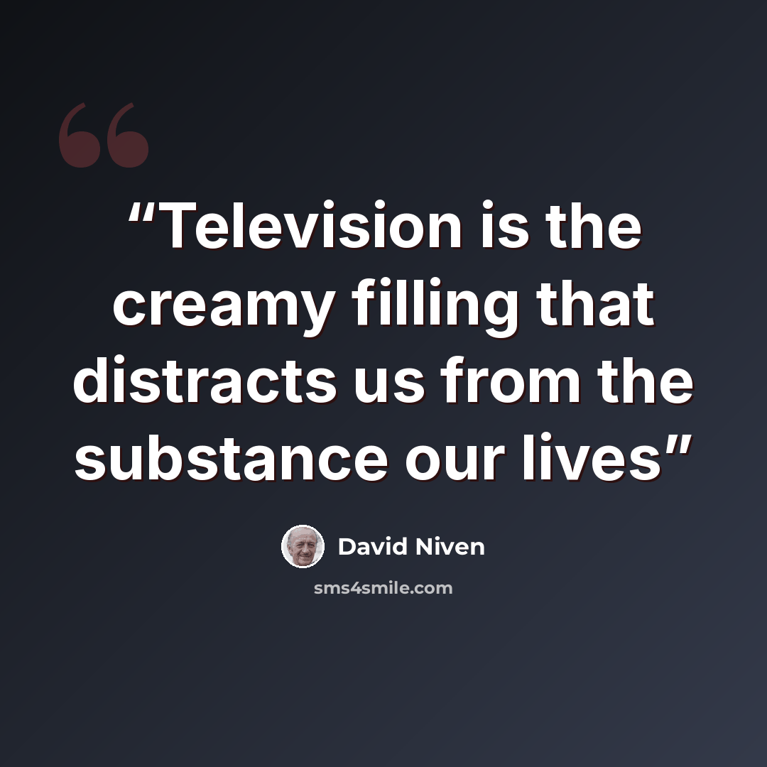 “Television is the creamy filling that distracts us from the substance our lives” quote by David Niven