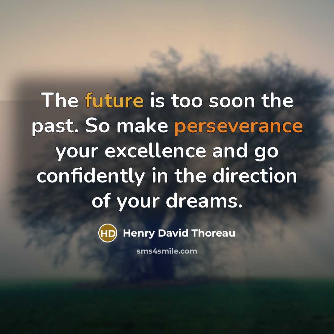 “The future is too soon the past. So make perseverance your excellence and go confidently in the direction of your dreams.” quote by Henry David Thoreau