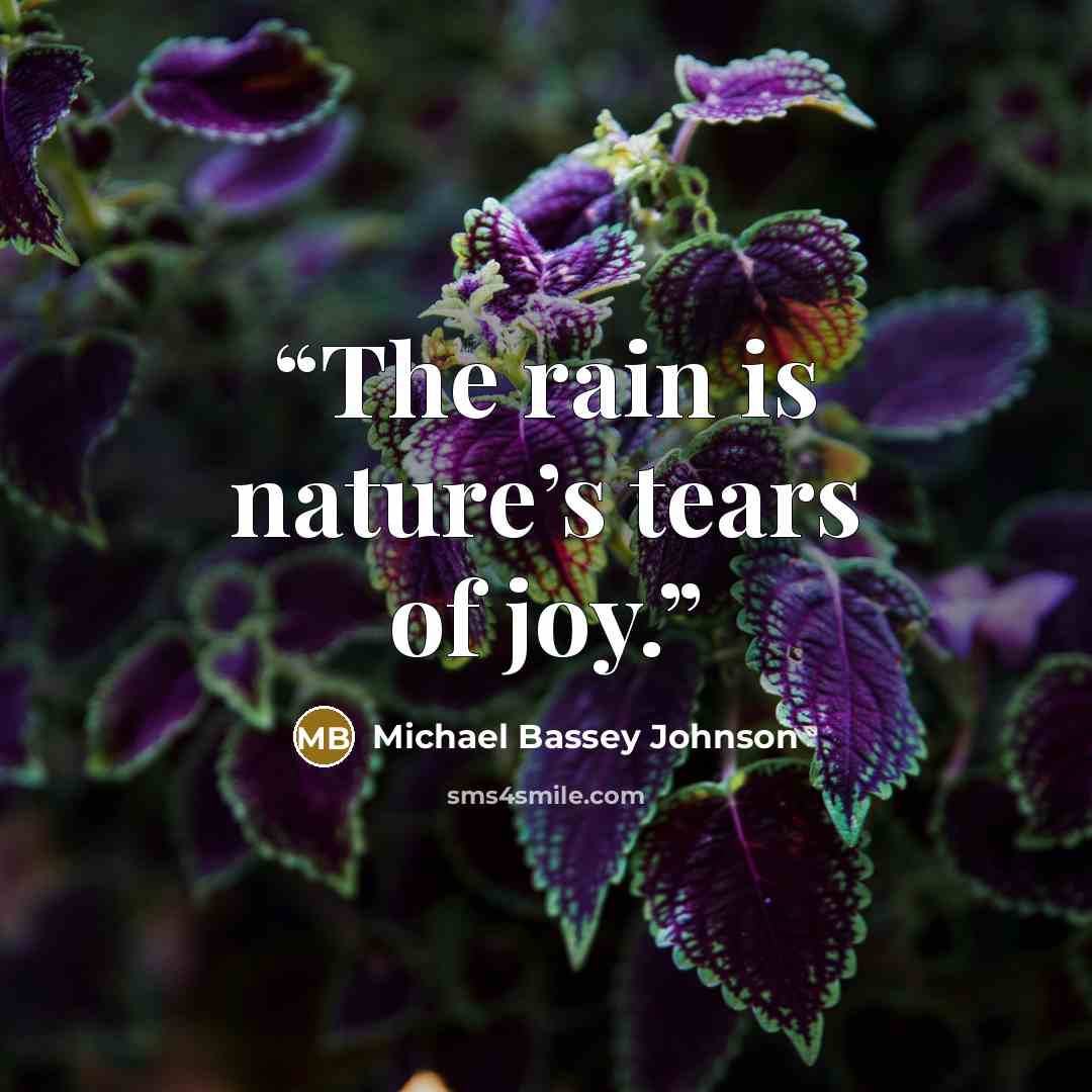 “The rain is nature’s tears of joy.” quote by Michael Bassey Johnson