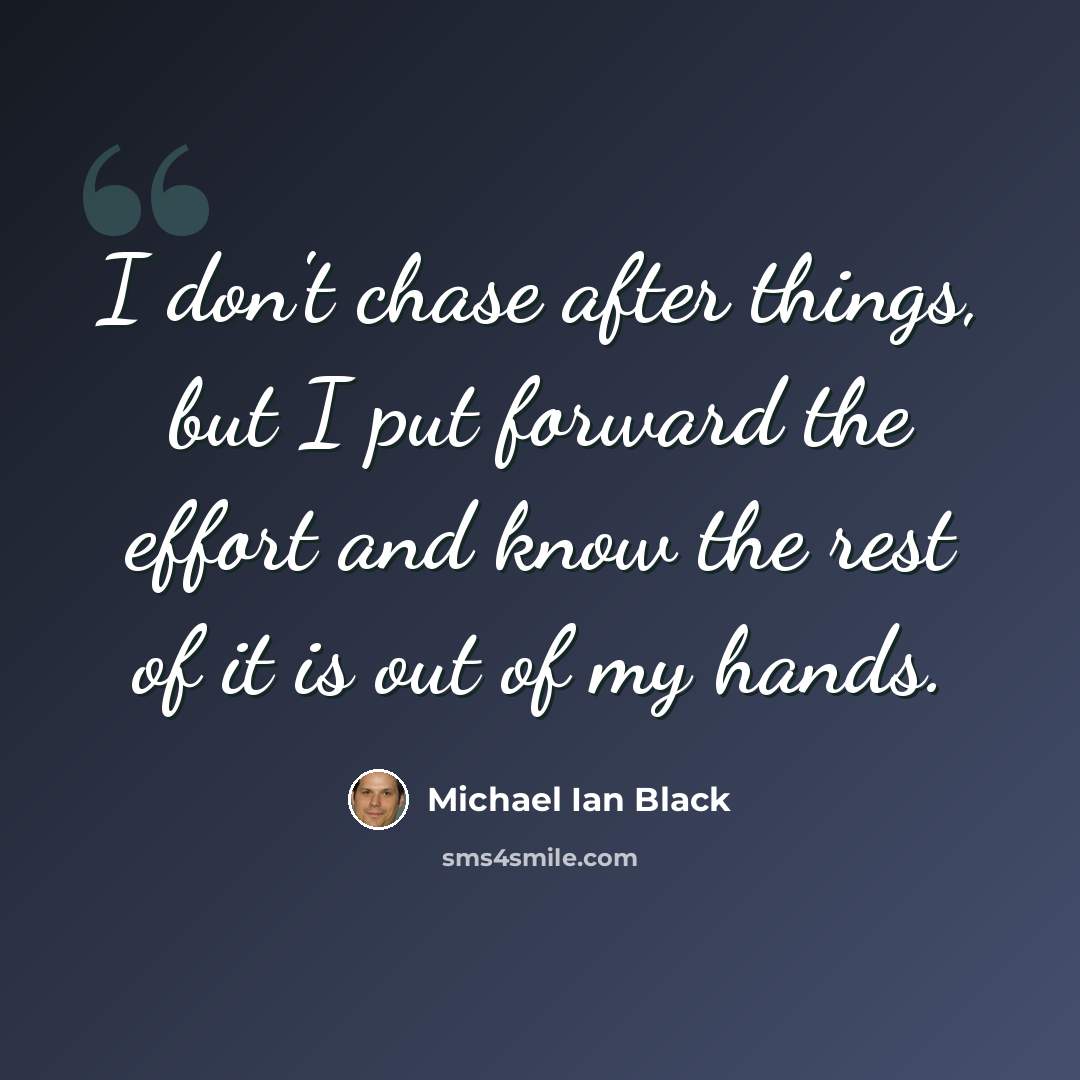 “I don't chase after things, but I put forward the effort and know the rest of it is out of my hands.” quote by Michael Ian Black
