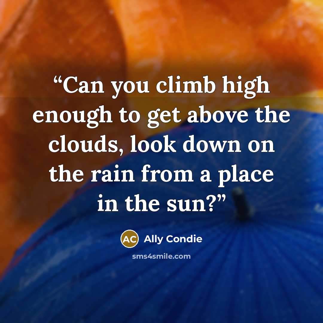 “Can you climb high enough to get above the clouds, look down on the rain from a place in the sun?” quote by Ally Condie