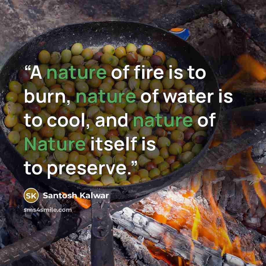 “A nature of fire is to burn, nature of water is to cool, and nature of Nature itself is to preserve.” quote by Santosh Kalwar