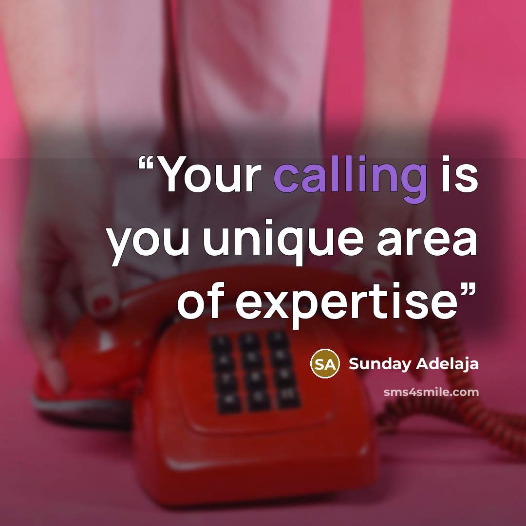 “Your calling is you unique area of expertise” quote by Sunday Adelaja