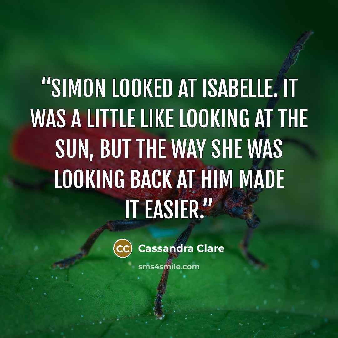“Simon looked at Isabelle. It was a little like looking at the sun, but the way she was looking back at him made it easier.” quote by Cassandra Clare