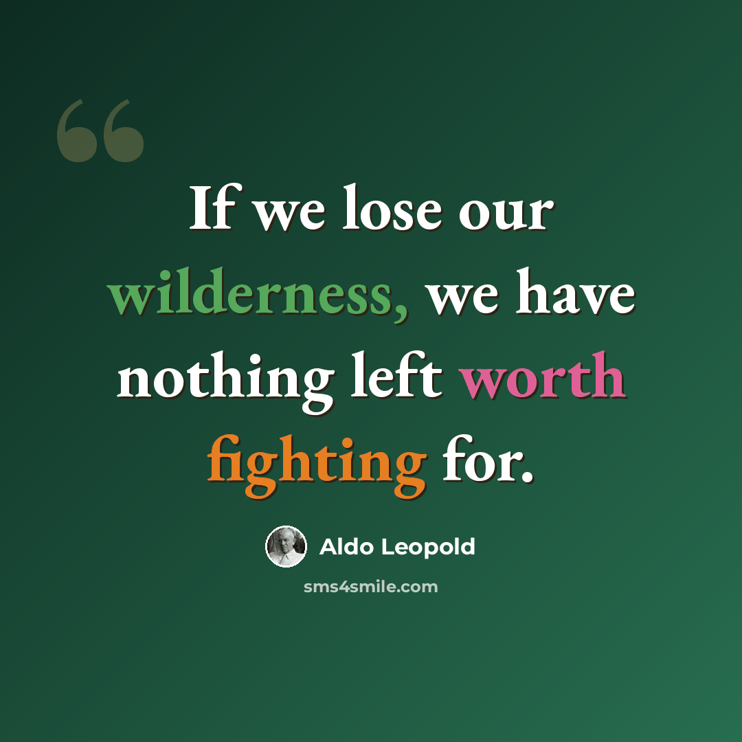 “If we lose our wilderness, we have nothing left worth fighting for.” quote by Aldo Leopold