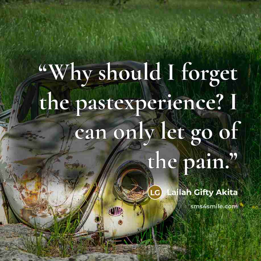 “Why should I forget the pastexperience? I can only let go of the pain.” quote by Lailah Gifty Akita