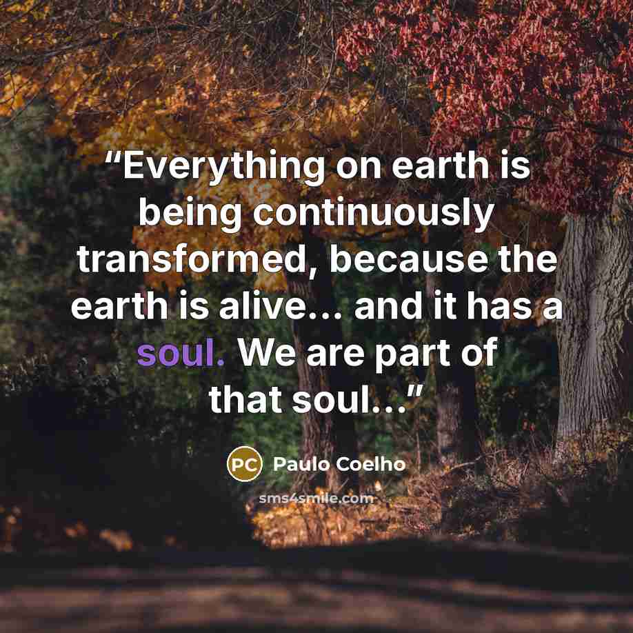 “Everything on earth is being continuously transformed, because the earth is alive... and it has a soul. We are part of that soul...” quote by Paulo Coelho