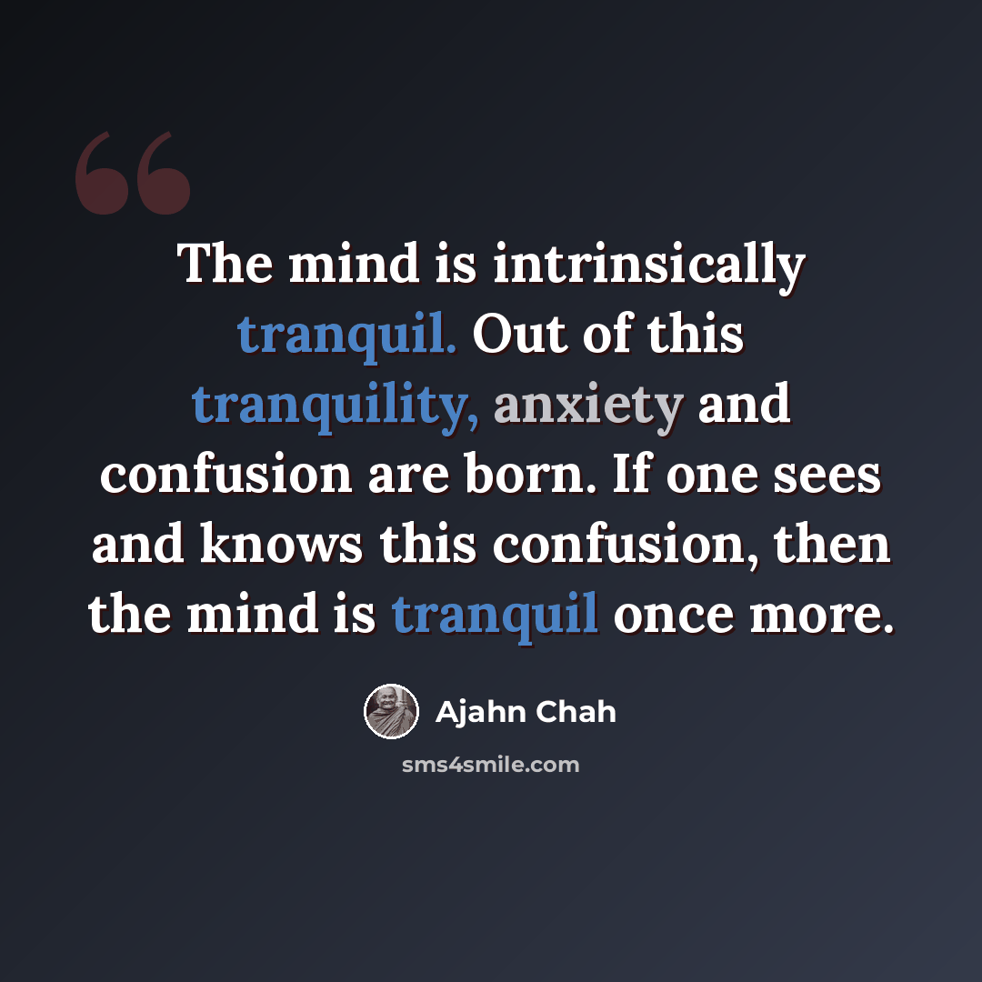 “The mind is intrinsically tranquil. Out of this tranquility, anxiety and confusion are born. If one sees and knows this confusion, then the mind is tranquil once more.” quote by Ajahn Chah