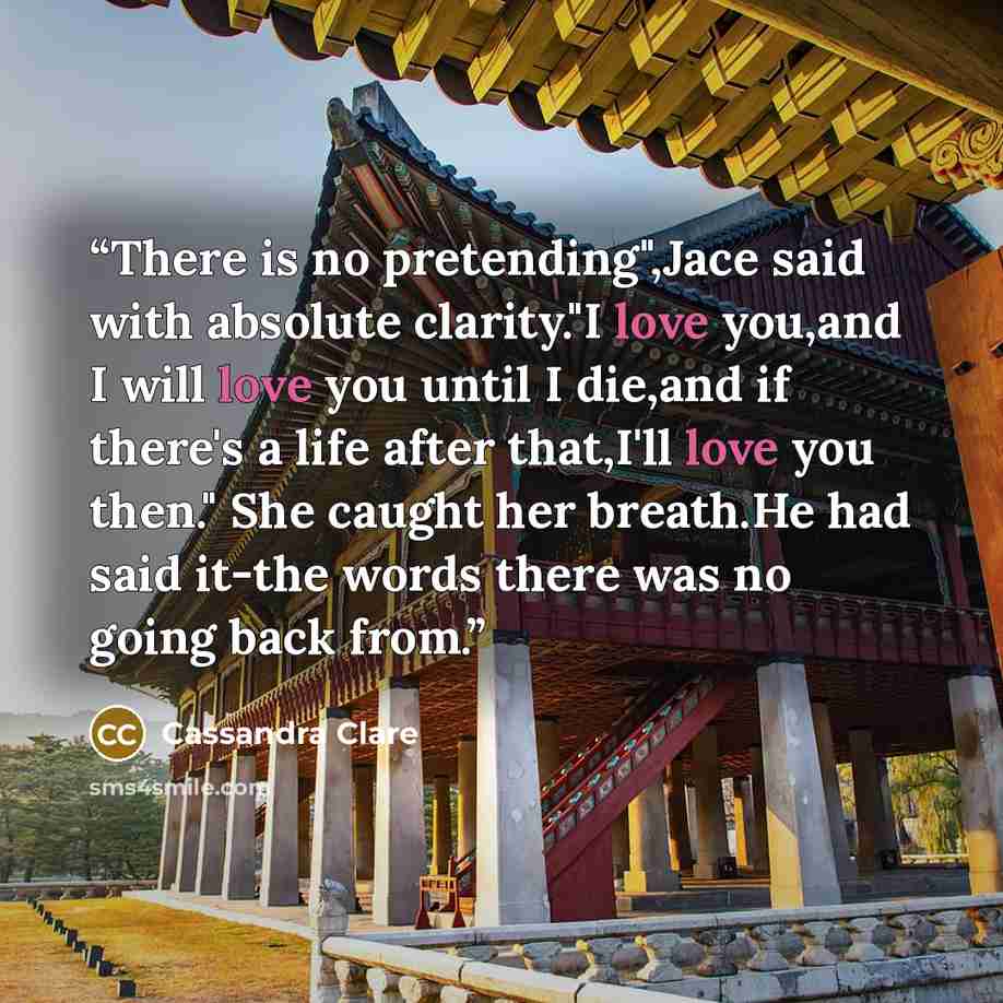 “There is no pretending",Jace said with absolute clarity."I love you,and I will love you until I die,and if there's a life after that,I'll love you then." She caught her breath.He had said it-the words there was no going back from.” quote by Cassandra Clare