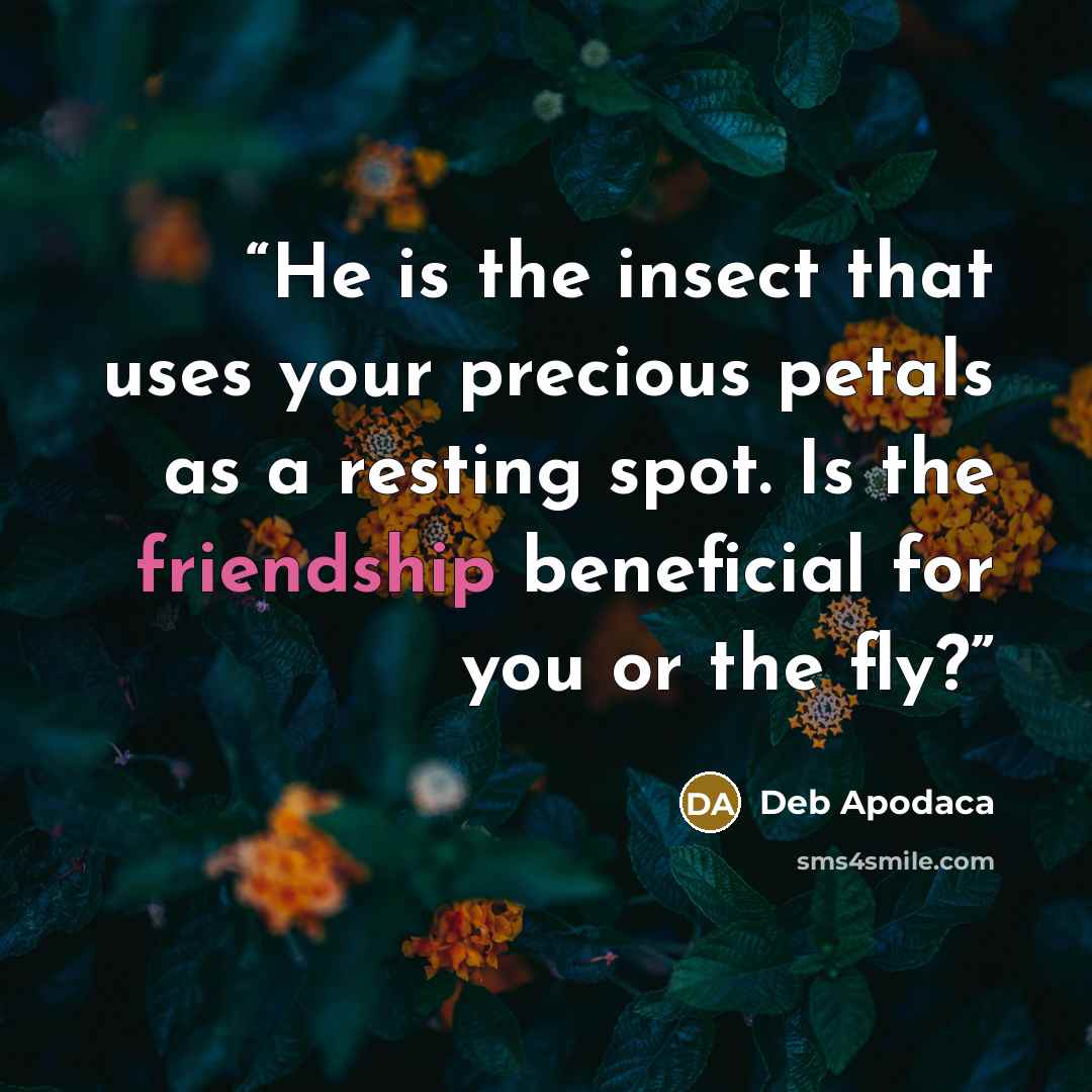 “He is the insect that uses your precious petals as a resting spot. Is the friendship beneficial for you or the fly?” quote by Deb Apodaca