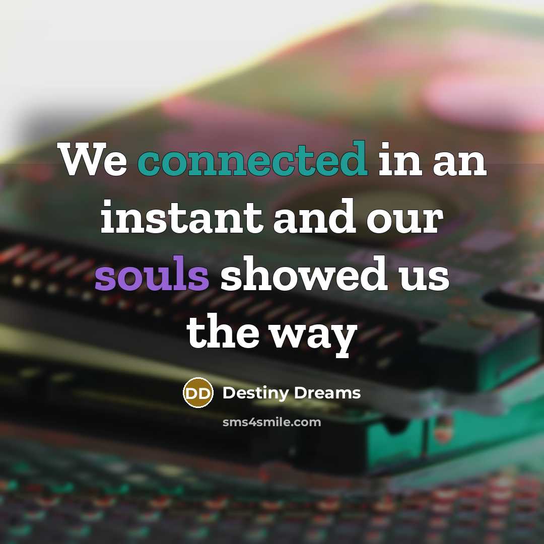 “We connected in an instant and our souls showed us the way” quote by Destiny Dreams
