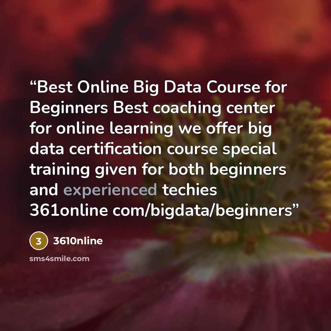 “Best Online Big Data Course for Beginners Best coaching center for online learning we offer big data certification course special training given for both beginners and experienced techies 361online com/bigdata/beginners” quote by 3610nline