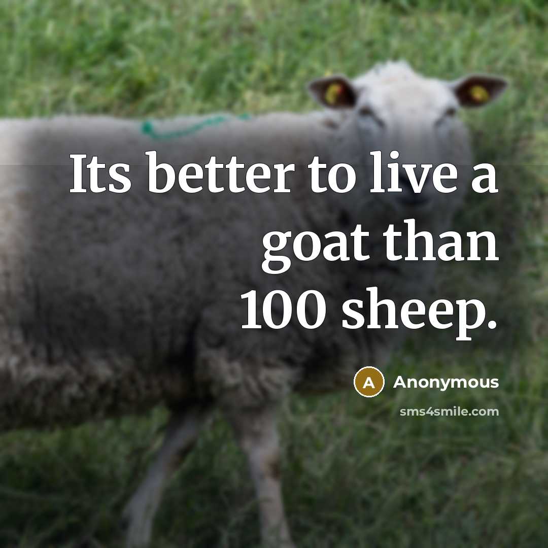 “Its better to live a goat than 100 sheep.” quote by Anonymous