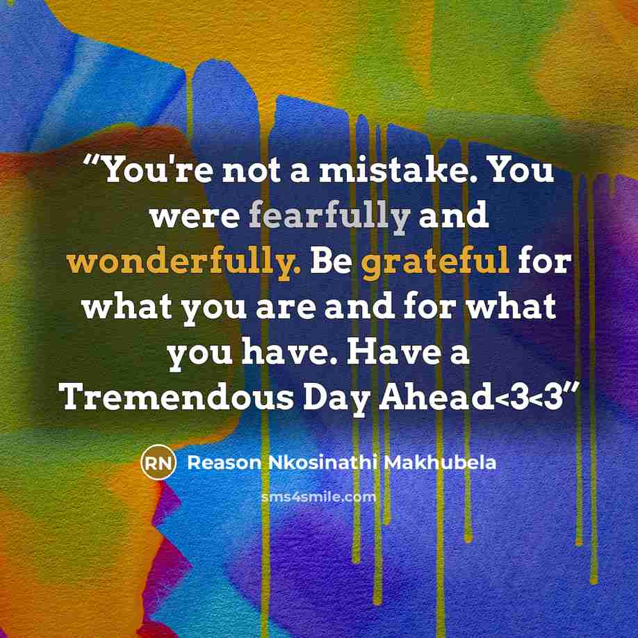 ““You're not a mistake. You were fearfully and wonderfully. Be grateful for what you are and for what you have. Have a Tremendous Day Ahead” quote by Reason Nkosinathi Makhubela