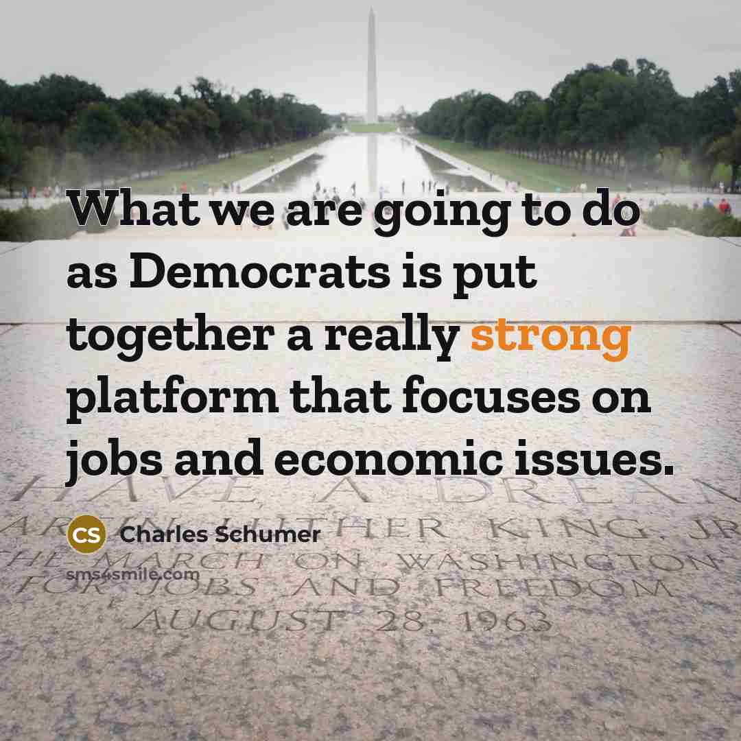 “What we are going to do as Democrats is put together a really strong platform that focuses on jobs and economic issues.” quote by Charles Schumer