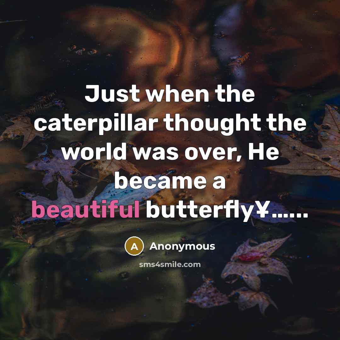 “Just when the caterpillar thought the world was over, He became a beautiful butterfly¥…...” quote by Anonymous