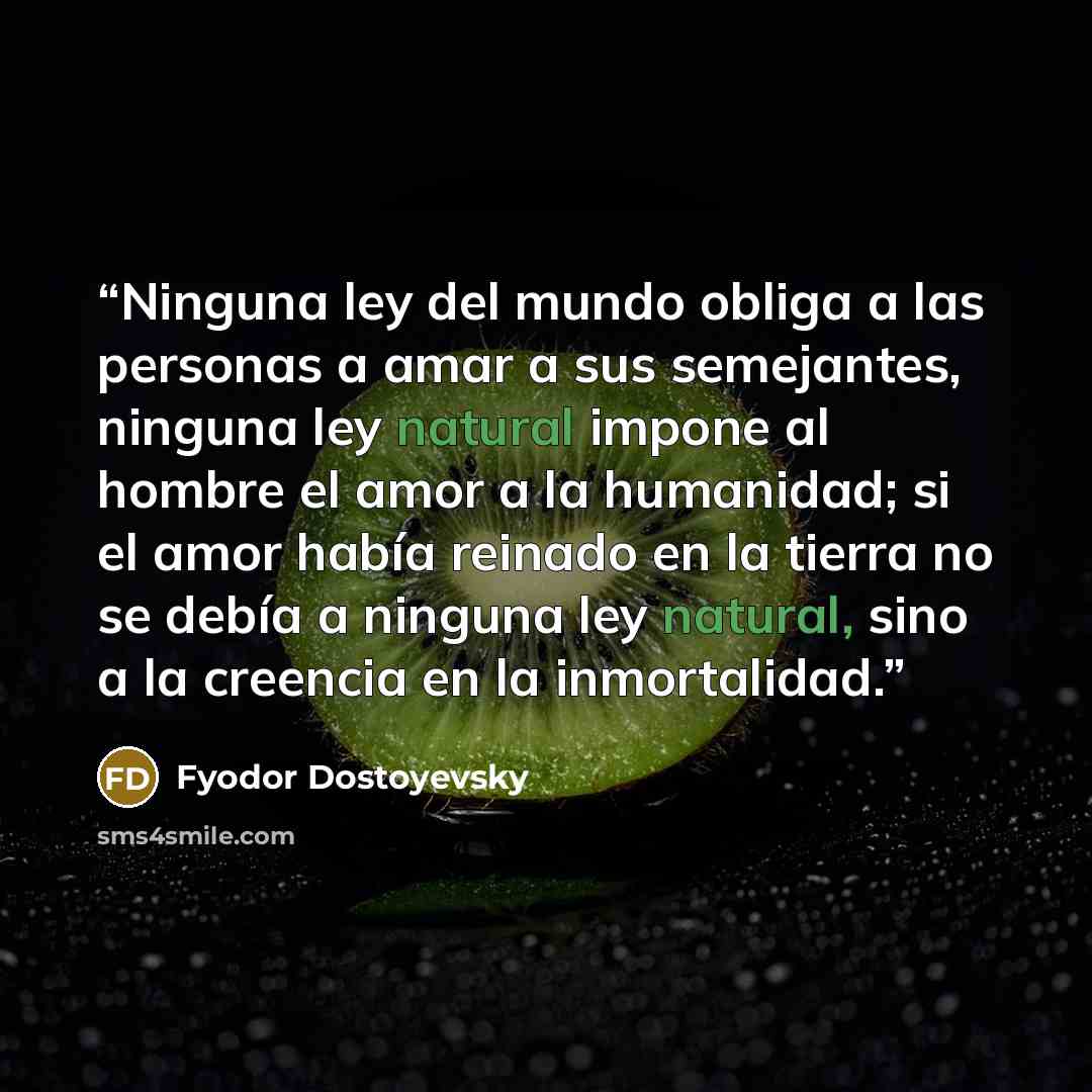 “Ninguna ley del mundo obliga a las personas a amar a sus semejantes, ninguna ley natural impone al hombre el amor a la humanidad; si el amor había reinado en la tierra no se debía a ninguna ley natural, sino a la creencia en la inmortalidad.” quote by Fyodor Dostoyevsky
