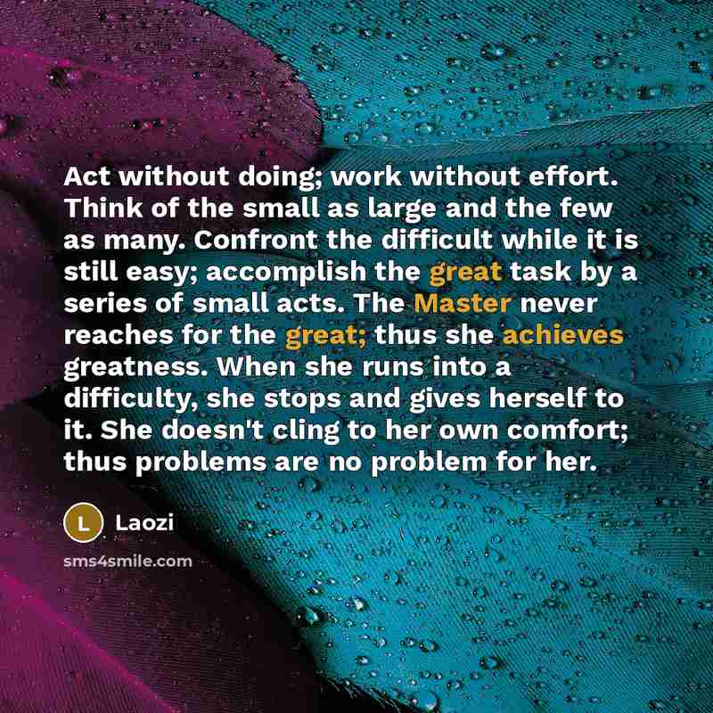 “Act without doing; work without effort. Think of the small as large and the few as many. Confront the difficult while it is still easy; accomplish the great task by a series of small acts. The Master never reaches for the great; thus she achieves greatness. When she runs into a difficulty, she…” quote by Laozi