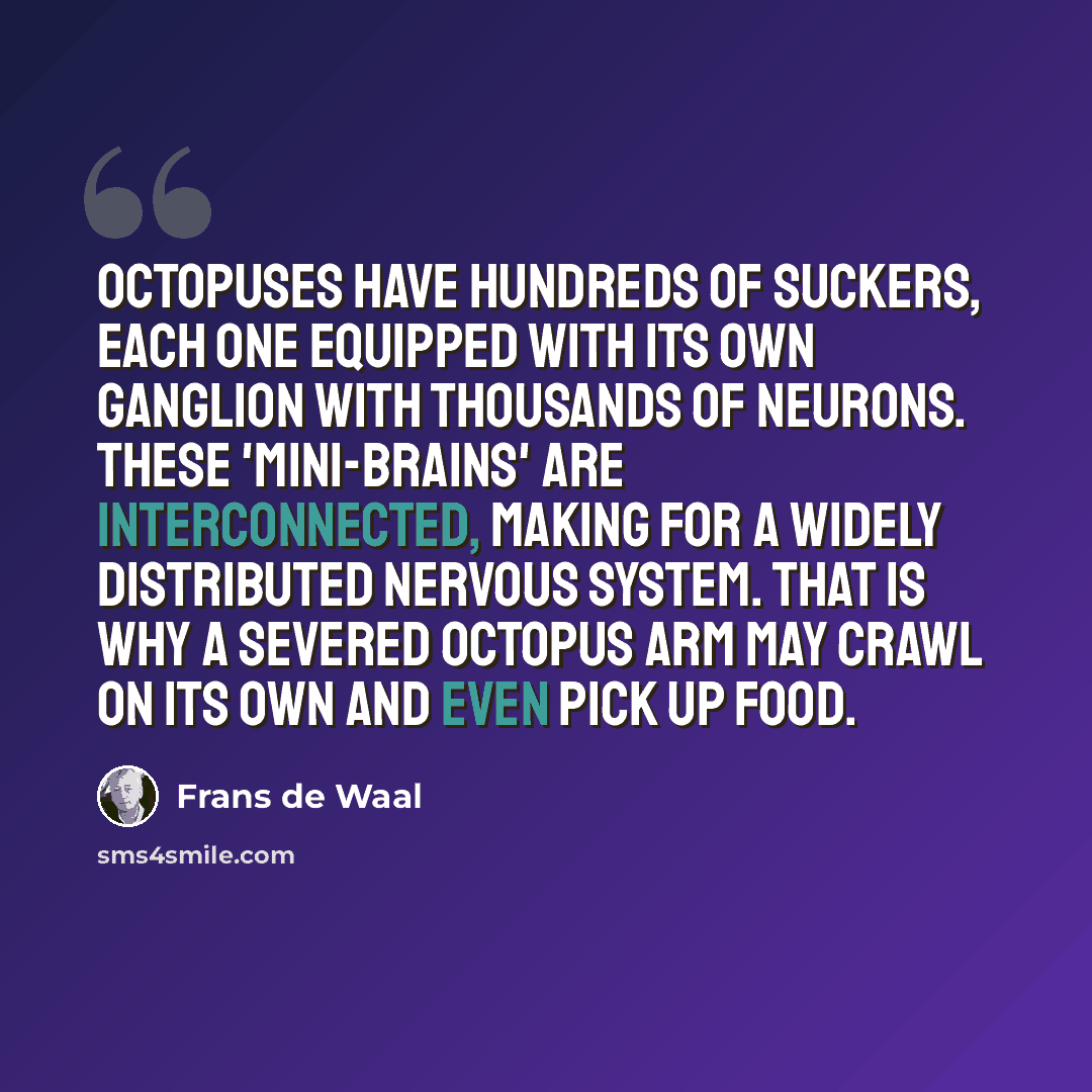 “Octopuses have hundreds of suckers, each one equipped with its own ganglion with thousands of neurons. These 'mini-brains' are interconnected, making for a widely distributed nervous system. That is why a severed octopus arm may crawl on its own and even pick up food.” quote by Frans de Waal