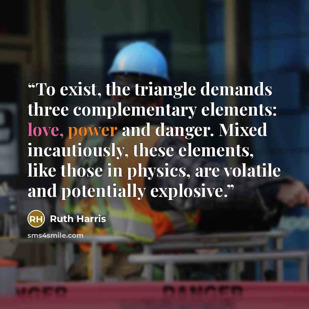 “To exist, the triangle demands three complementary elements: love, power and danger. Mixed incautiously, these elements, like those in physics, are volatile and potentially explosive.” quote by Ruth Harris