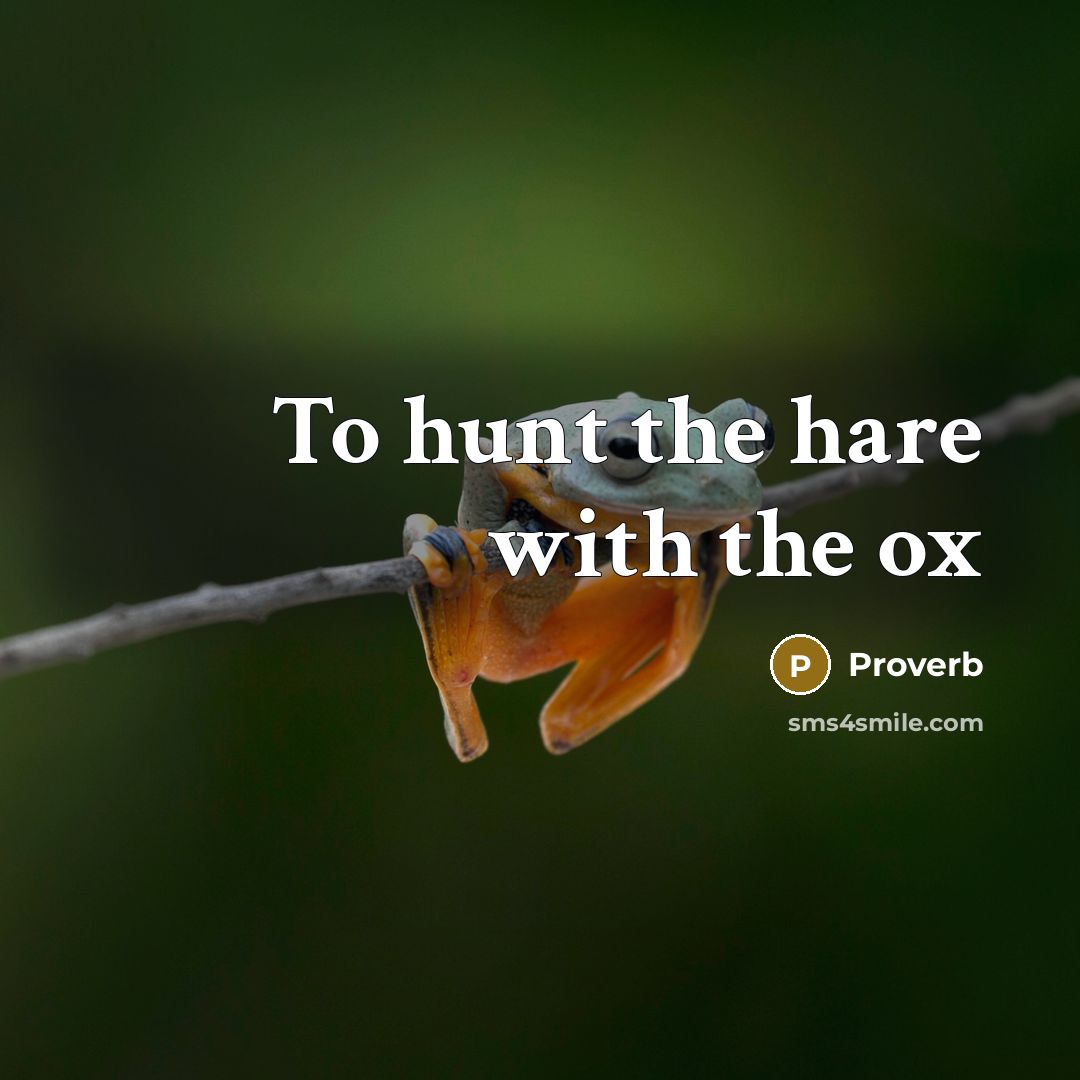 “To hunt the hare with the ox” quote by Proverb