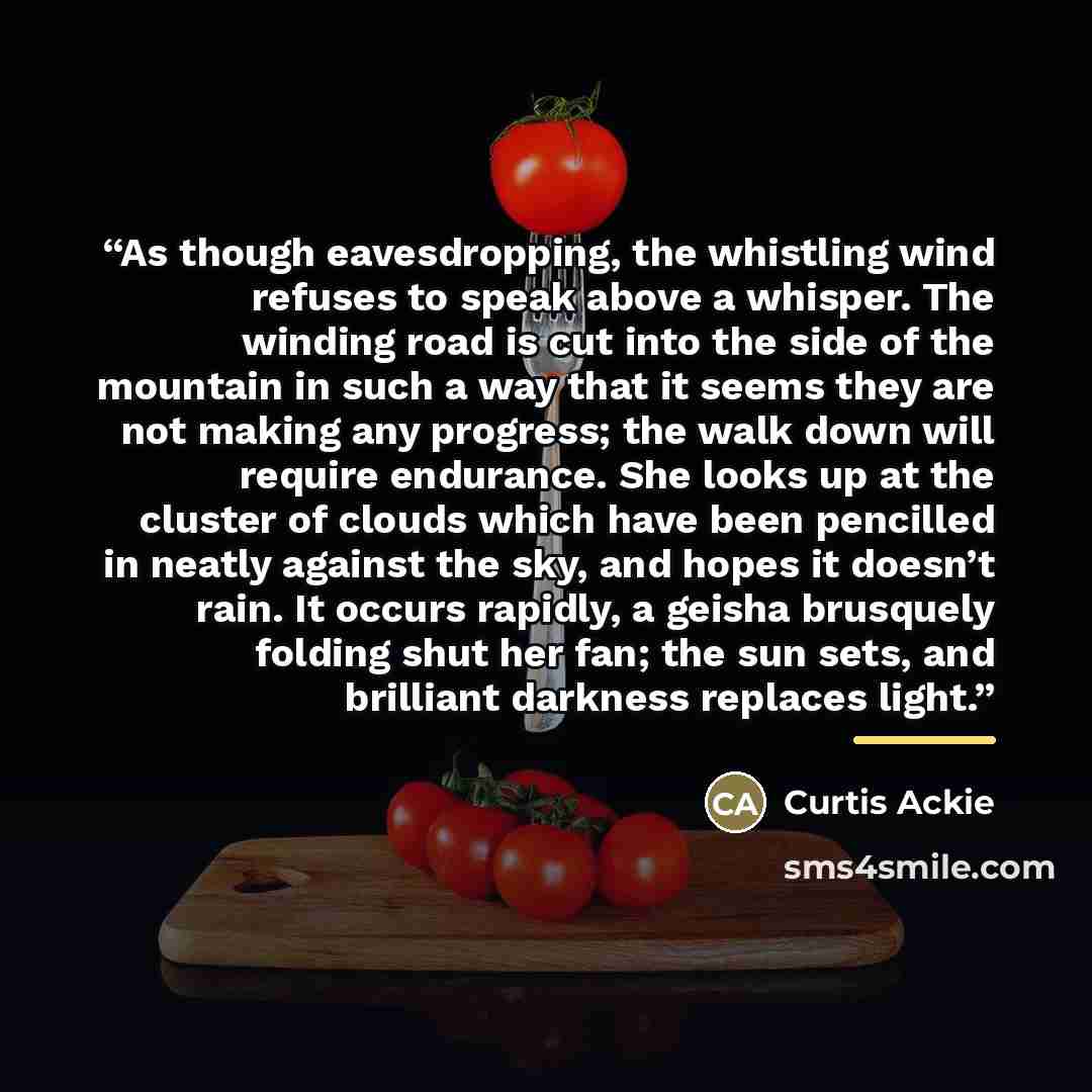 “As though eavesdropping, the whistling wind refuses to speak above a whisper. The winding road is cut into the side of the mountain in such a way that it seems they are not making any progress; the walk down will require endurance. She looks up at the cluster of clouds which have been pencilled in…” quote by Curtis Ackie