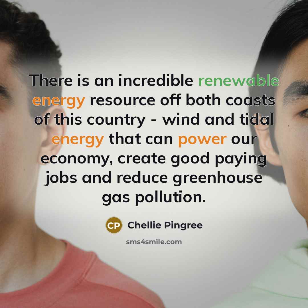 “There is an incredible renewable energy resource off both coasts of this country - wind and tidal energy that can power our economy, create good paying jobs and reduce greenhouse gas pollution.” quote by Chellie Pingree