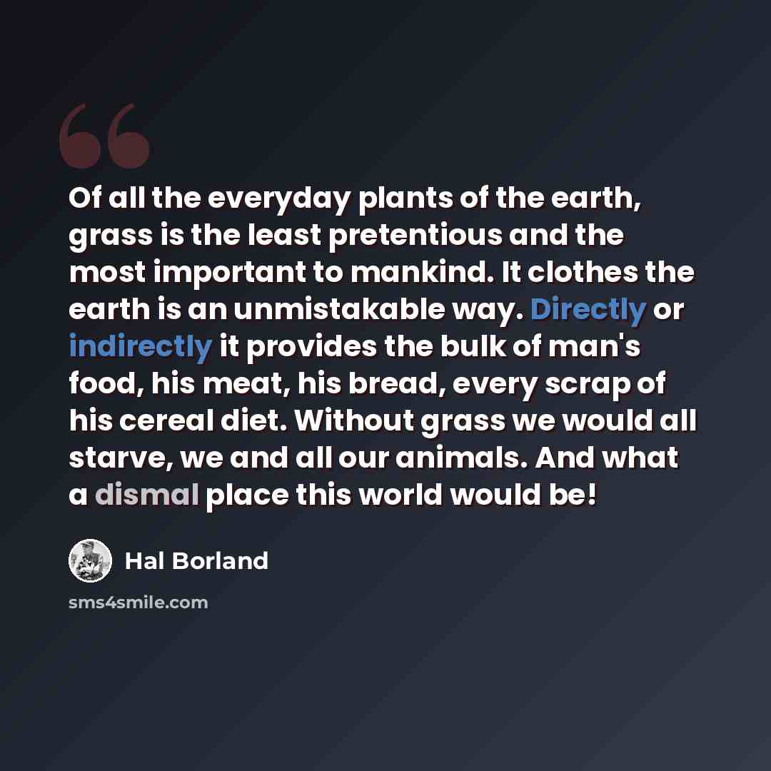 “Of all the everyday plants of the earth, grass is the least pretentious and the most important to mankind. It clothes the earth is an unmistakable way. Directly or indirectly it provides the bulk of man's food, his meat, his bread, every scrap of his cereal diet. Without grass we would all starve…” quote by Hal Borland