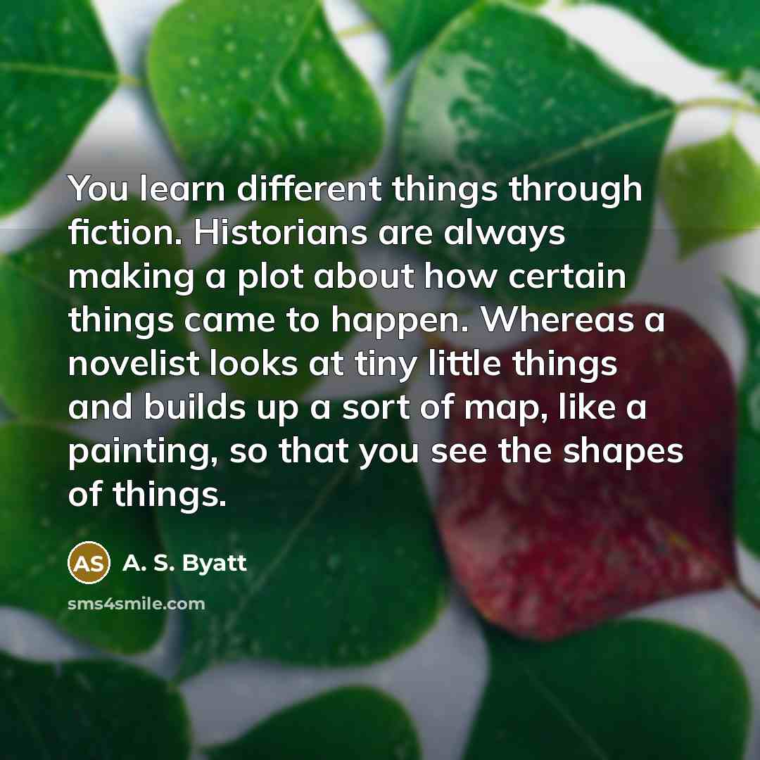 “You learn different things through fiction. Historians are always making a plot about how certain things came to happen. Whereas a novelist looks at tiny little things and builds up a sort of map, like a painting, so that you see the shapes of things.” quote by A. S. Byatt