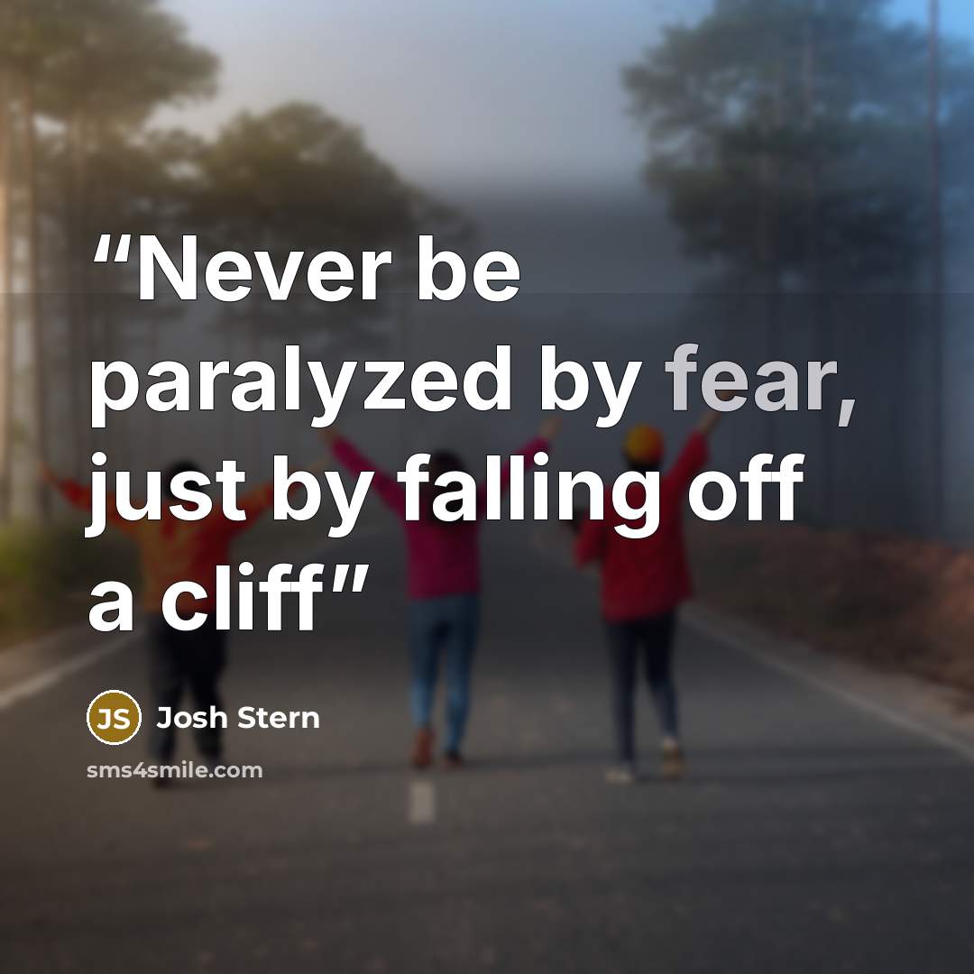 “Never be paralyzed by fear, just by falling off a cliff” quote by josh stern