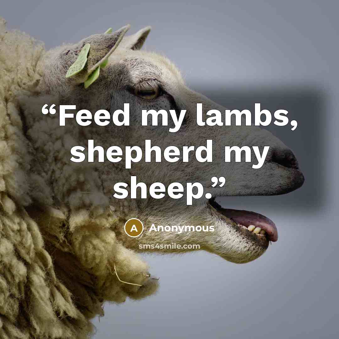 “Feed my lambs, shepherd my sheep.” quote by Anonymous