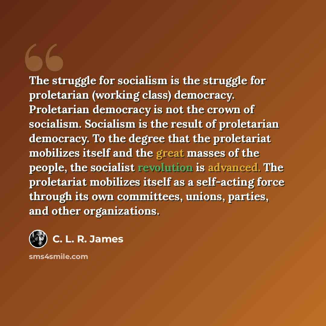 “The struggle for socialism is the struggle for proletarian (working class) democracy. Proletarian democracy is not the crown of socialism. Socialism is the result of proletarian democracy. To the degree that the proletariat mobilizes itself and the great masses of the people, the socialist…” quote by C. L. R. James