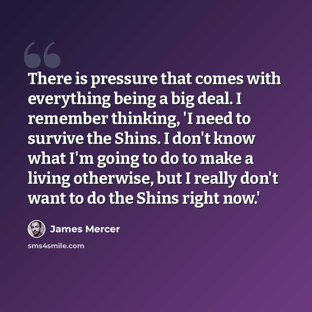 “There is pressure that comes with everything being a big deal. I remember thinking, 'I need to survive the Shins. I don't know what I'm going to do to make a living otherwise, but I really don't want to do the Shins right now.'” quote by James Mercer