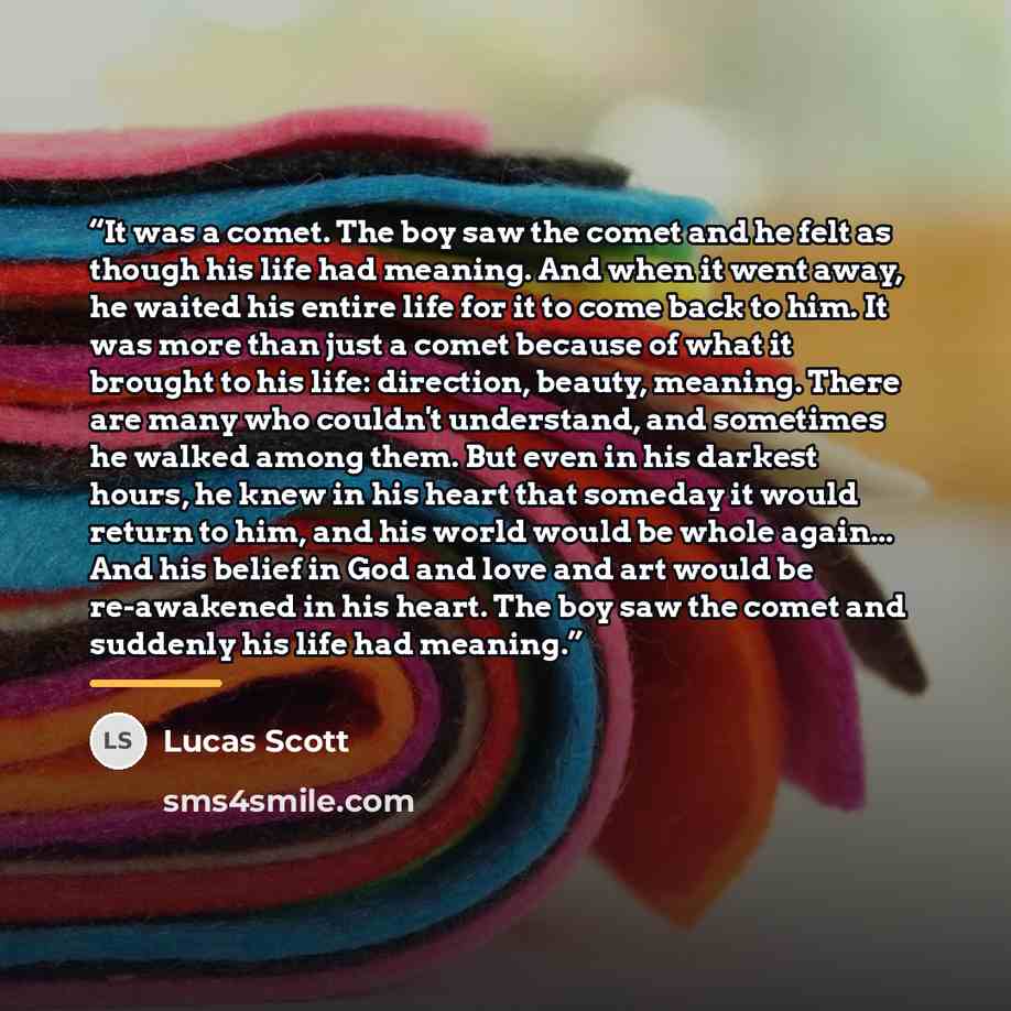 “It was a comet. The boy saw the comet and he felt as though his life had meaning. And when it went away, he waited his entire life for it to come back to him. It was more than just a comet because of what it brought to his life: direction, beauty, meaning. There are many who couldn't understand…” quote by Lucas Scott