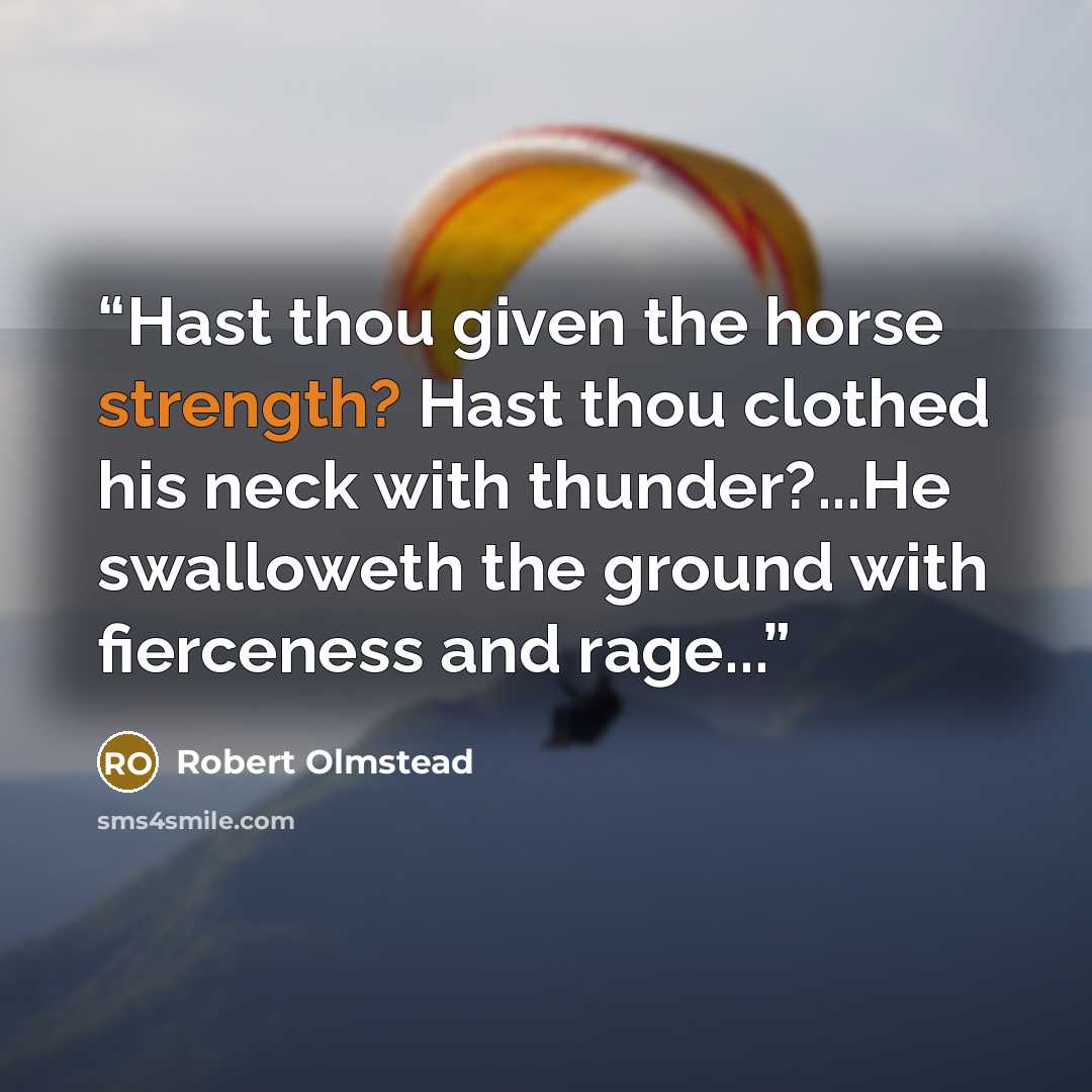 “Hast thou given the horse strength? Hast thou clothed his neck with thunder?...He swalloweth the ground with fierceness and rage...” quote by Robert Olmstead