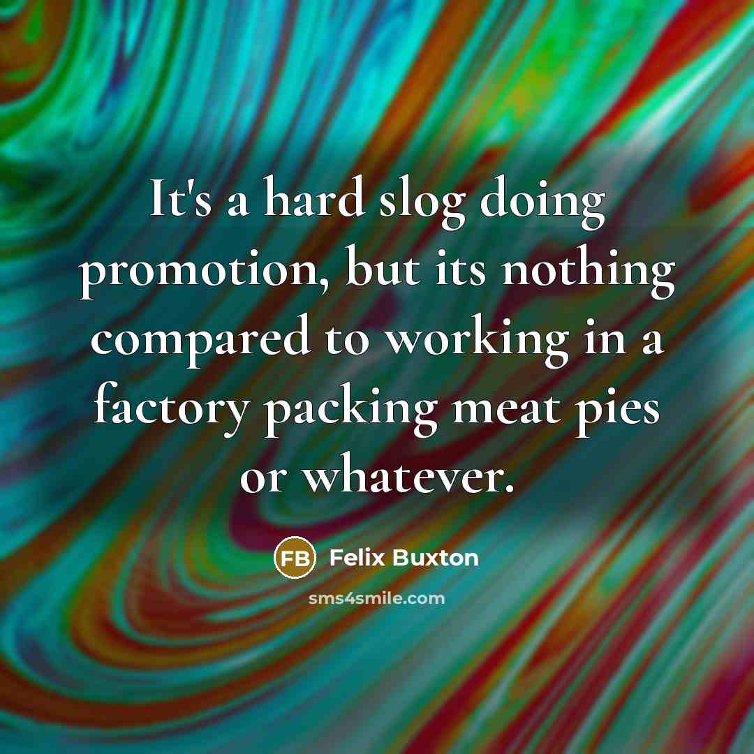 “It's a hard slog doing promotion, but its nothing compared to working in a factory packing meat pies or whatever.” quote by Felix Buxton