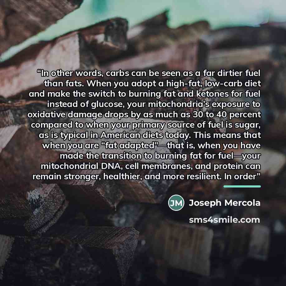 “In other words, carbs can be seen as a far dirtier fuel than fats. When you adopt a high-fat, low-carb diet and make the switch to burning fat and ketones for fuel instead of glucose, your mitochondria’s exposure to oxidative damage drops by as much as 30 to 40 percent compared to when your…” quote by Joseph Mercola