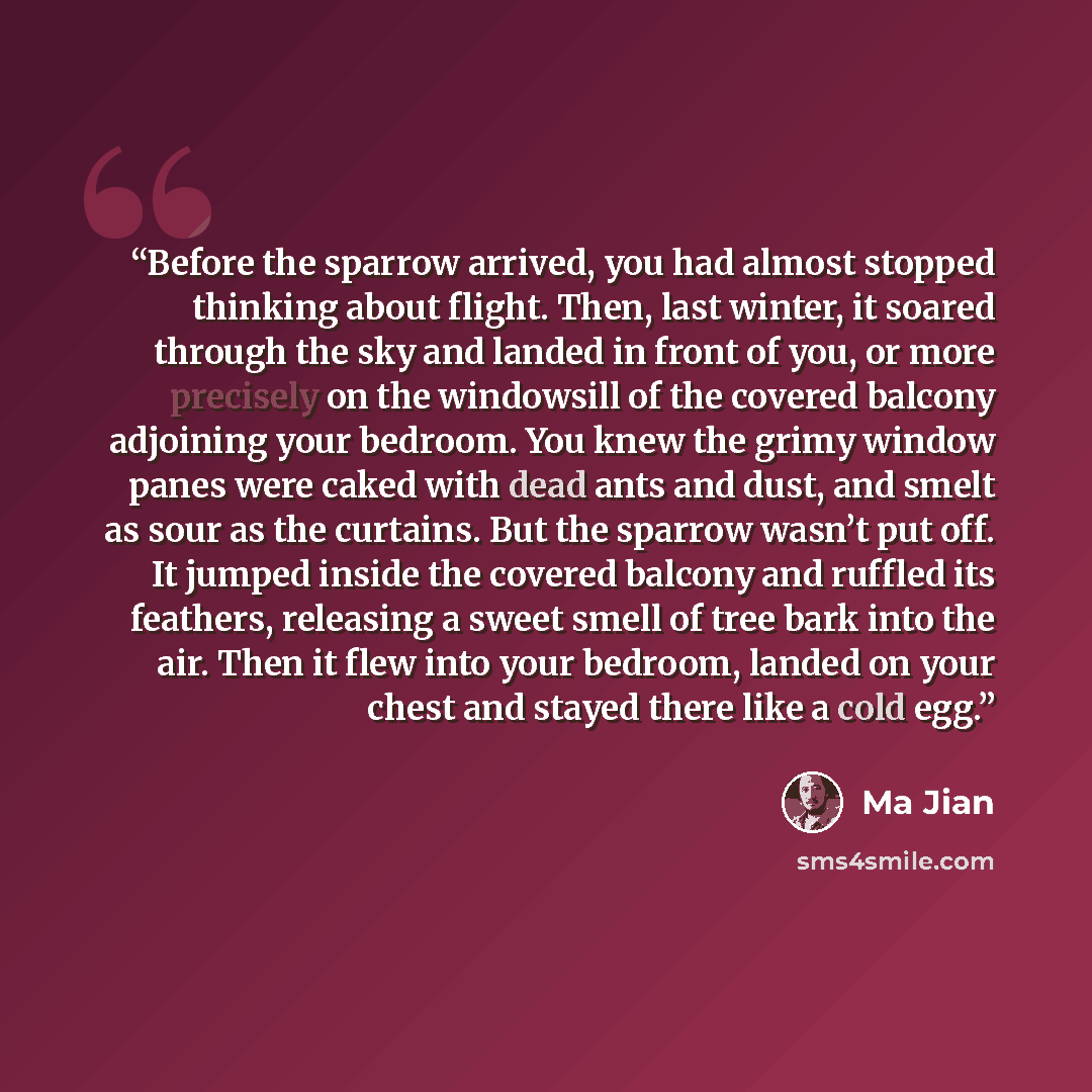 “Before the sparrow arrived, you had almost stopped thinking about flight. Then, last winter, it soared through the sky and landed in front of you, or more precisely on the windowsill of the covered balcony adjoining your bedroom. You knew the grimy window panes were caked with dead ants and dust…” quote by Ma Jian
