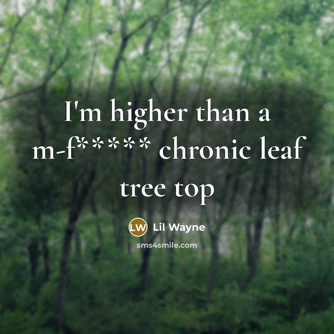 “I'm higher than a m-f***** chronic leaf tree top” quote by Lil Wayne