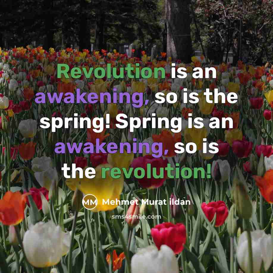 “Revolution is an awakening, so is the spring! Spring is an awakening, so is the revolution!” quote by Mehmet Murat Ildan