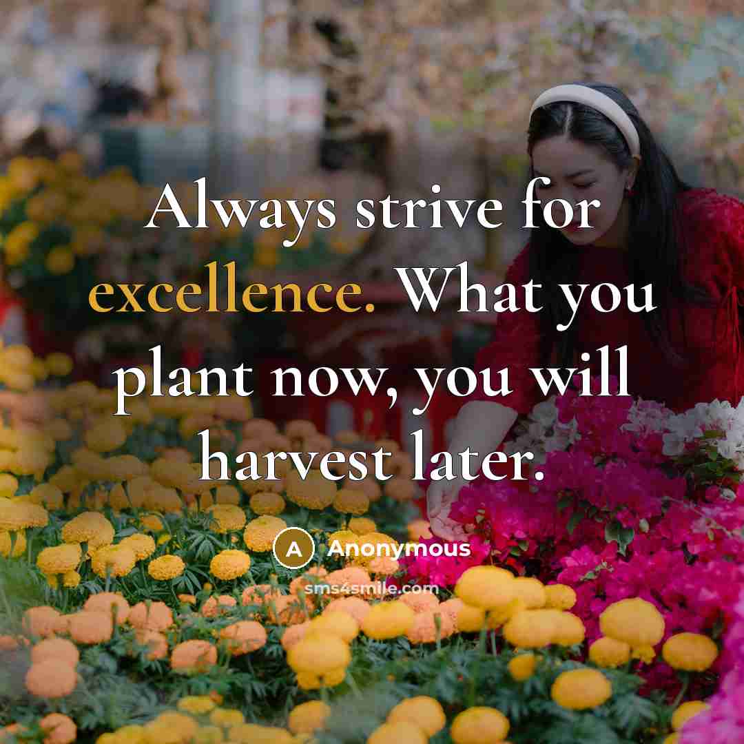 “Always strive for excellence. What you plant now, you will harvest later.” quote by Anonymous