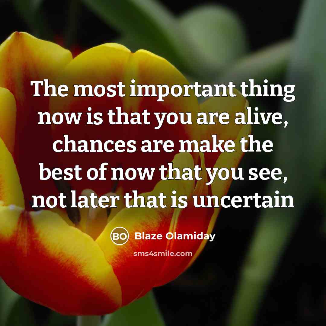 “The most important thing now is that you are alive, chances are make the best of now that you see, not later that is uncertain” quote by Blaze Olamiday